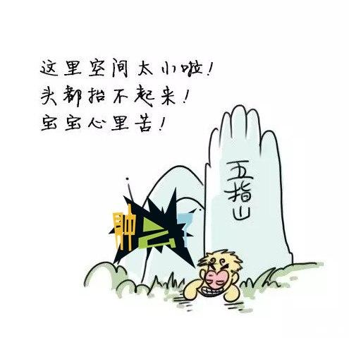 被拍到的神仙，仙都和神仙居，哪个地方更好玩