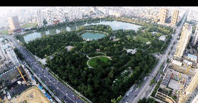 京哈高速救狗宣判贴吧:京哈高速救狗事件 沈阳将成为东北唯一特大城市，为什么是沈阳而不是大连？