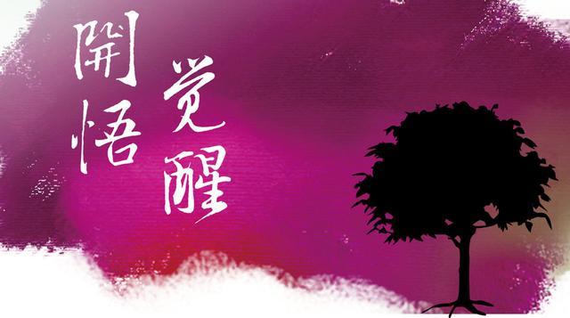 不相信命运的人都在干什么？