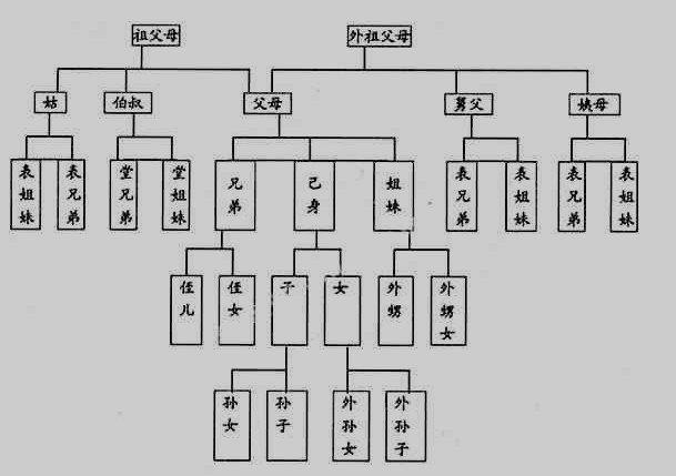 直系亲属包括哪些人？
