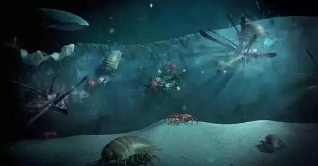 鲸鱼爆炸:鲸鱼死后还会爆炸？为什么？