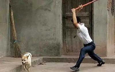 祖述宪谈狂犬病:狗的唾液进入人的口腔会不会得狂犬病？