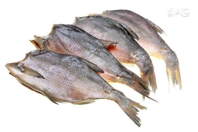 农村这种鱼虽美味却有毒，钓到的鱼不认识，请问是什么鱼