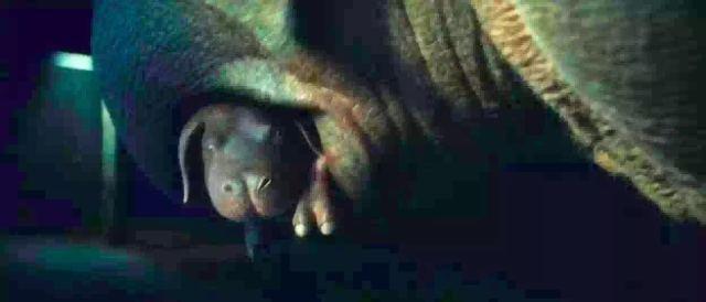 比格犬视频:如何评价奉俊昊电影新作《玉子》？