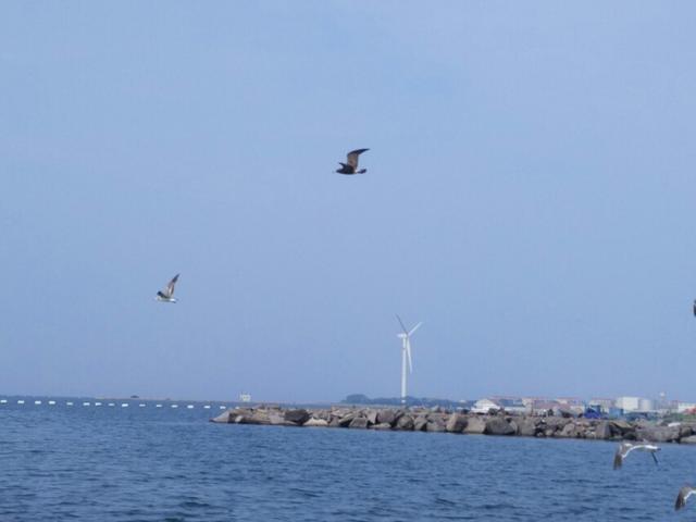 滨海月亮湾:求大神指点山东烟台旅游攻略，主要想去月亮湾，求指点啊？