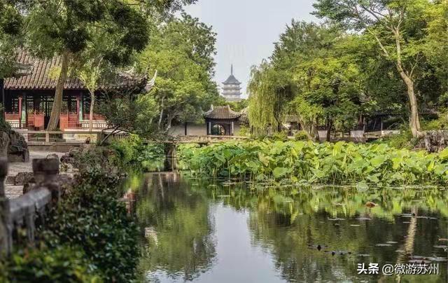 大家好,有谁知道苏州拙政园是哪年建的？又是谁一夜豪赌把拙政园给输掉了？