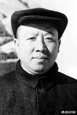 张国焘简介:中国历史张国涛是个什么人，详细？