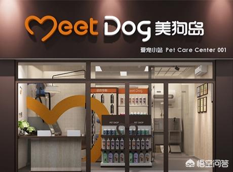 石家庄宠物网58:石家庄宠物市场的发展前景怎么样？