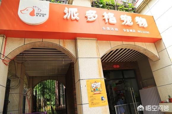 宠物店市场分析定位:宠物店市场分析与项目定位 宠物店的市场竞争大不大呢？