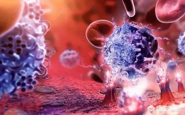 干细胞抗衰真能延缓衰老吗，间充质干细胞美容抗衰老有什么功效