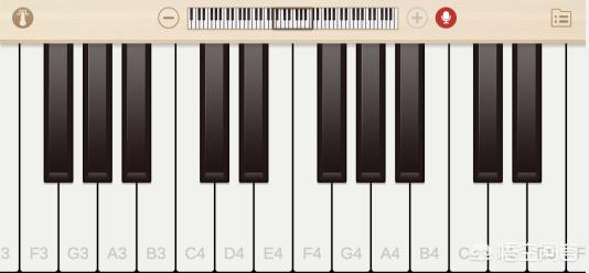 弹钢琴软件,可以跟着弹的钢琴电脑软件？