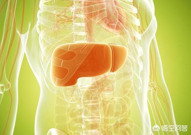 肝上火都有什么表现形式?吃什么可以降低肝火?