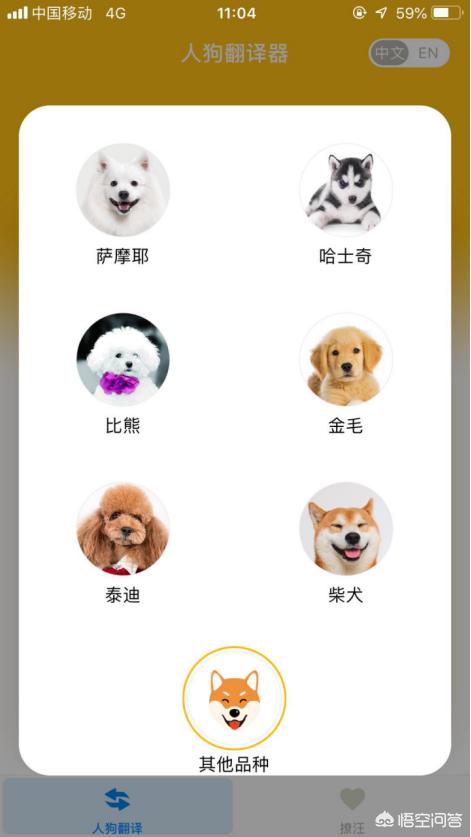 人狗语言翻译器软件:能不能把狗狗的语音翻译出来？