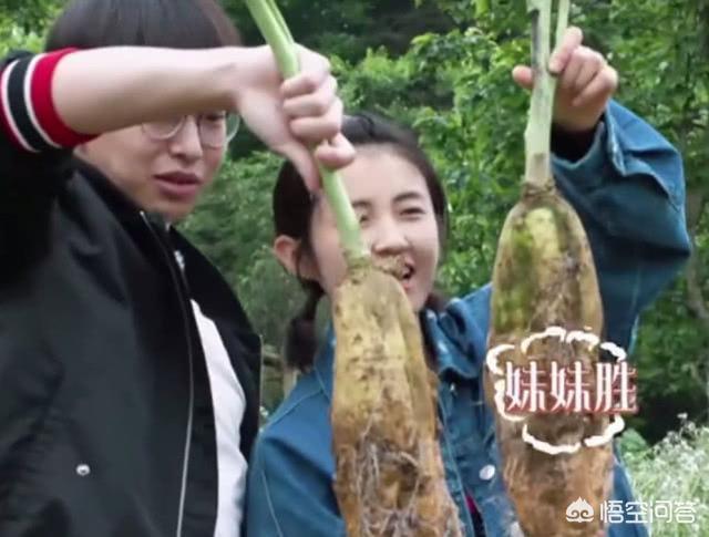 韩国综艺有哪些好看的？:韩国天体真人秀在线 第9张