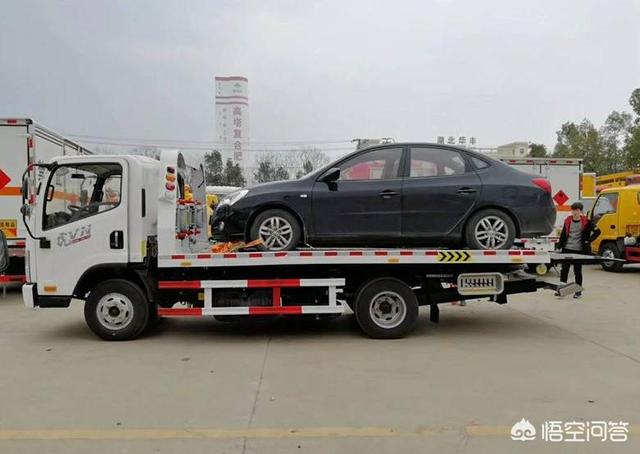 西施犬寿命近30天搜索趋势:CVT变速箱的寿命有多长？能跑到30万公里或使用15年吗？