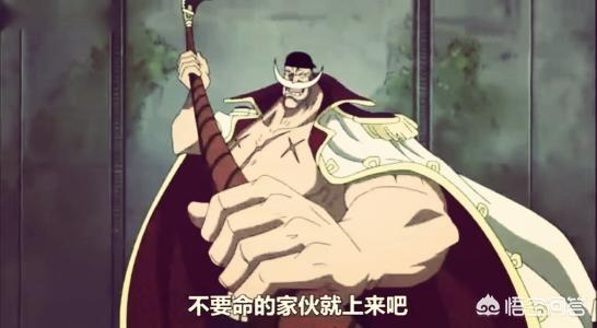 乔拉可尔 密佛格:《海贼王》中的香克斯是什么身份？
