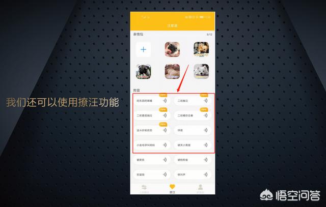 狗语翻译器效果如何:狗狗的翻译器管用吗现在？