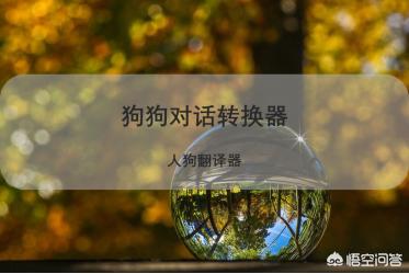 最强狗语翻译机:有那种可以把宠物叫声翻译过来的机器吗？