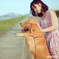 女人爱狗狗群视频:女人给狗狗喂饭的视频 为什么大部分女生都爱养公狗？