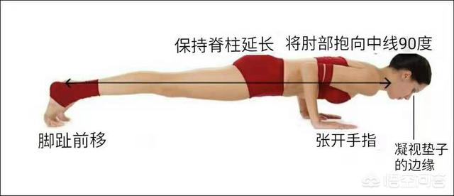 四柱哪一柱力量最大,瑜伽四柱支撑该如何发力？