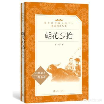徐大总统:《朝花夕拾》有什么艺术价值？