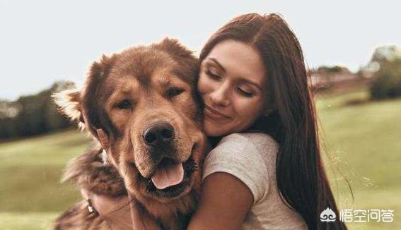 女人和大型狗狗分不开:女生养大型犬有什么好处与坏处吗？