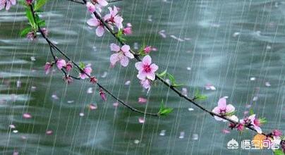 不同季节的雨在古诗词中有着怎样的象征意义和不同的感情基调呢？