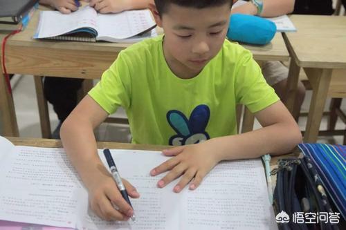 送小狗回家教案托班:有没有人把孩子送去校外托的？能说下理由吗？