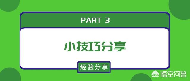 猫咪不乖的作品请:猫咪不乖的所有小说 刚收养的流浪猫越来越不乖了，该怎么办？