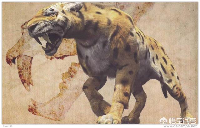 犬熊图:1000万年前的史前动物除了恐龙，都还有哪些？