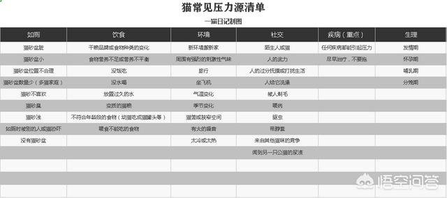 蓝猫:家里有一只蠢蠢的蓝猫是种怎样的体验？ 蓝猫英短