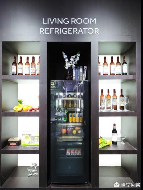 冰吧和冰箱区别是啥呀，有点搞不懂？