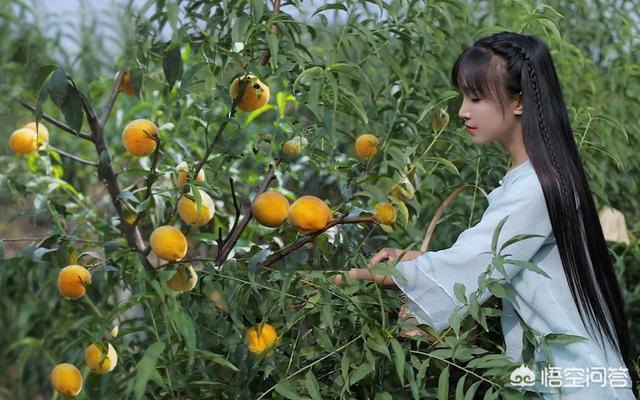 自学影视后期怎么样？这个行业的前景如何？