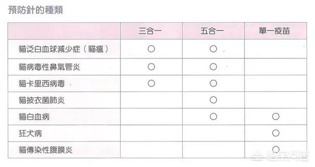 怎么给猫咪打针视频:幼猫感冒打什么针管用，幼猫感冒需要打针吗？