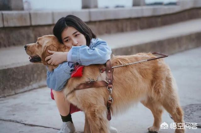 吴磊张子枫:如何评价“吴磊张子枫劈叉抱”？