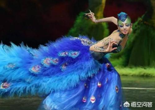 金星和杨丽萍:金星与杨丽萍，谁的舞蹈成就更高？