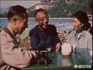猫狗大战2国语版电影神马影院:溥仪离婚案败诉，他做了一件什么事，引得哄堂大笑？