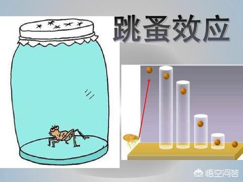 鬼混降:三国中吕蒙真的是因为关羽死后的鬼魂来索命而致死的吗