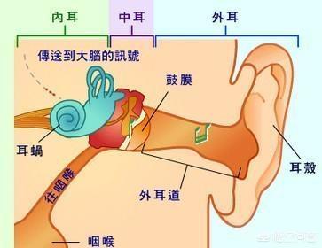 外耳炎:引起外耳道炎常见的病因有哪些？