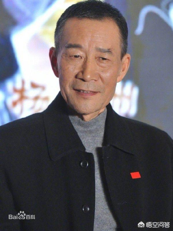 王新军电视剧:从《抗日奇侠》到《河山》，王新军有哪里不一样