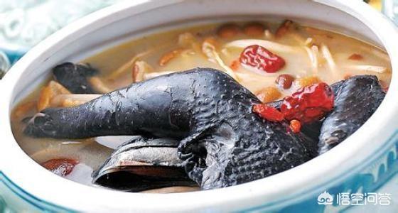 壮阳鸡汤，甲鱼老母鸡炖汤有哪些功效
