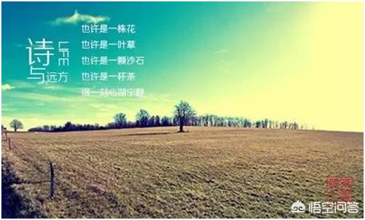 当代有没有好的诗人,成就怎么样？