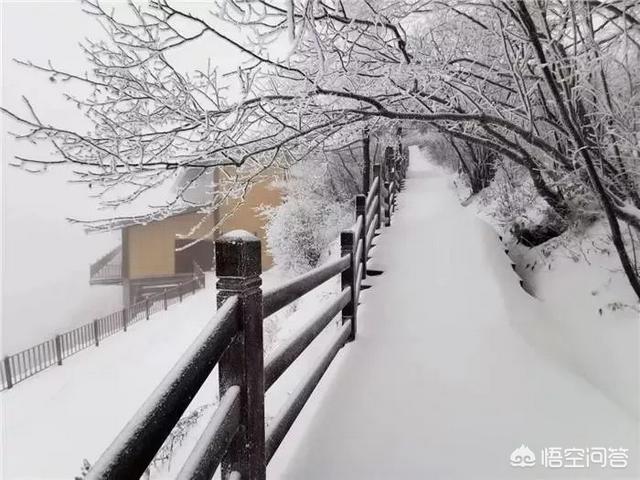 如何拍摄雪景(如何拍摄雪景照片)