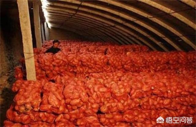 软腐病191:西瓜菌核病应该如何防治？