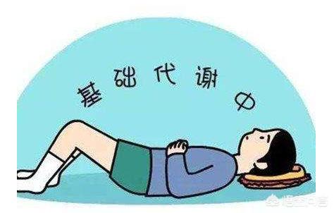 怎么提高基础代谢率,基础代谢1183大卡，怎么吃？