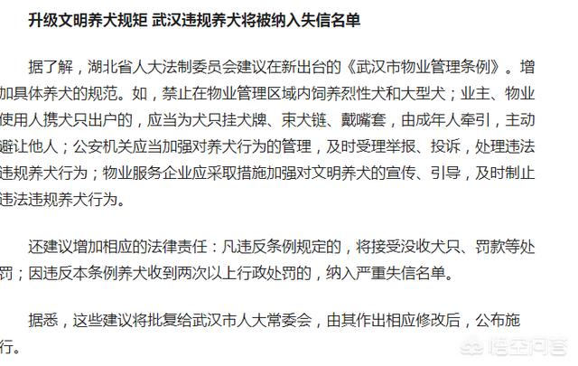 撞死小狗狗主索赔腾讯:如果你开车撞死了一条狗，需要赔偿吗？