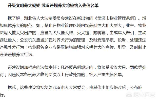 撞死小狗狗主索赔评论:宠物狗未拴绳上马路被撞死，狗主人索赔10万，这事你怎么看？