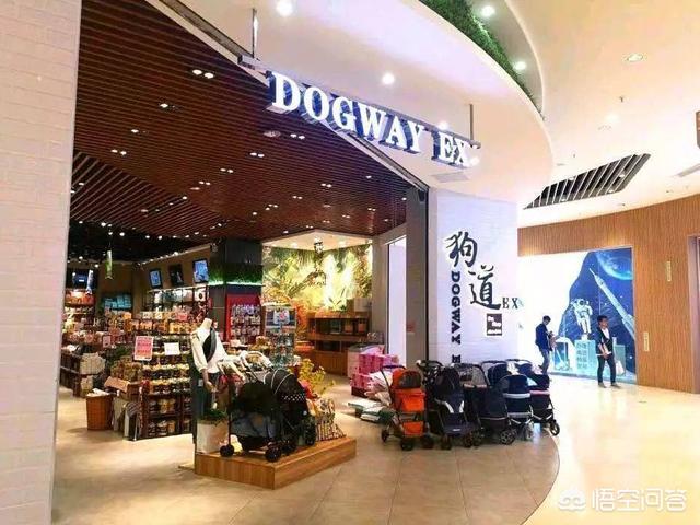 优爵宠物食品如何加盟:开一家宠物连锁店怎么样？