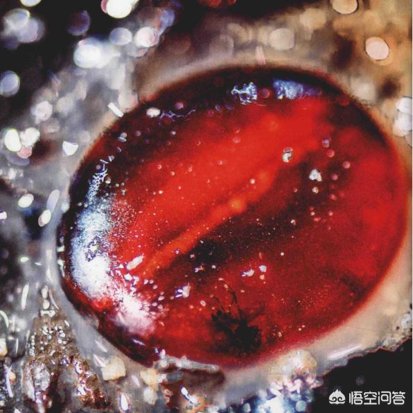 南昌西汉海昏侯墓:海昏侯刘贺当了27天的皇帝，为何干了1127件坏事？