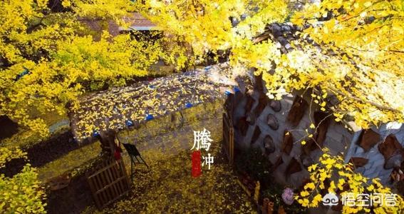 上海后花园上海千花坊:11月适合去哪个城市比较好